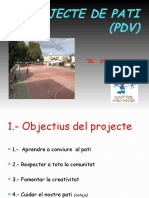 Projecte de Pati 2