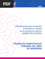 Guia_ingenieria2011.pdf