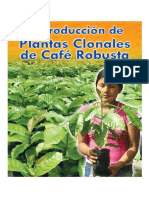 Reproduccion de Plantas Clonales de Cafe Robusta
