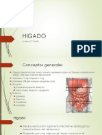HIGADO.pdf