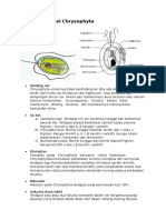 Struktur Sel & Habitat Chrysophyta