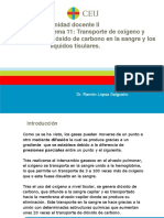 Tema 11.pdf