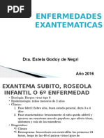 Enfermedades Exantematicas Directo