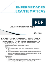 Enfermedades Exantematicas Directo