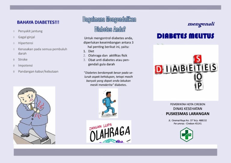 Leaflet DM ISHIP-1 | PDF