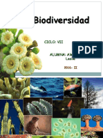 Biodiversidad Cultura