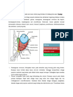 Tinjauan Pustaka