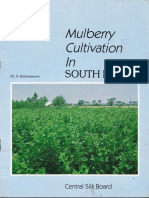 Mulberry Cultivation in South India