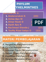 Phylum Platyhelminthes