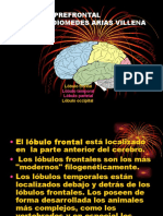 SINDROME PREFRONTAL.ppt