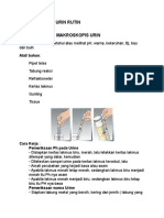 PEMERIKSAAN_URIN_RUTIN.pdf