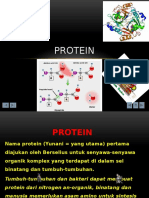 Protein