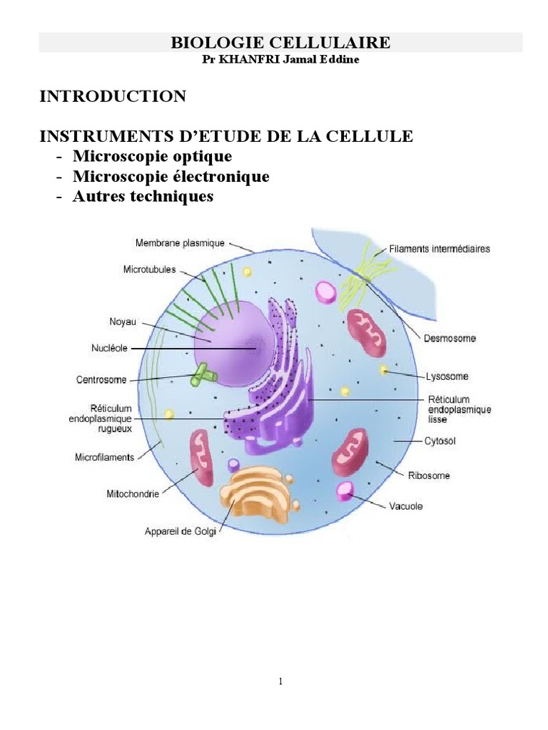 Introduction à la biologie cellulaire | PDF | Cellule (Biologie ...