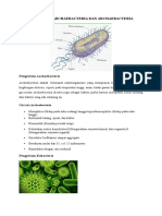 Perbedaan Archaebacteria Dan Archaebacteria