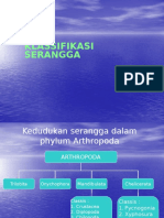 06 Klasifikasi Serangga 1