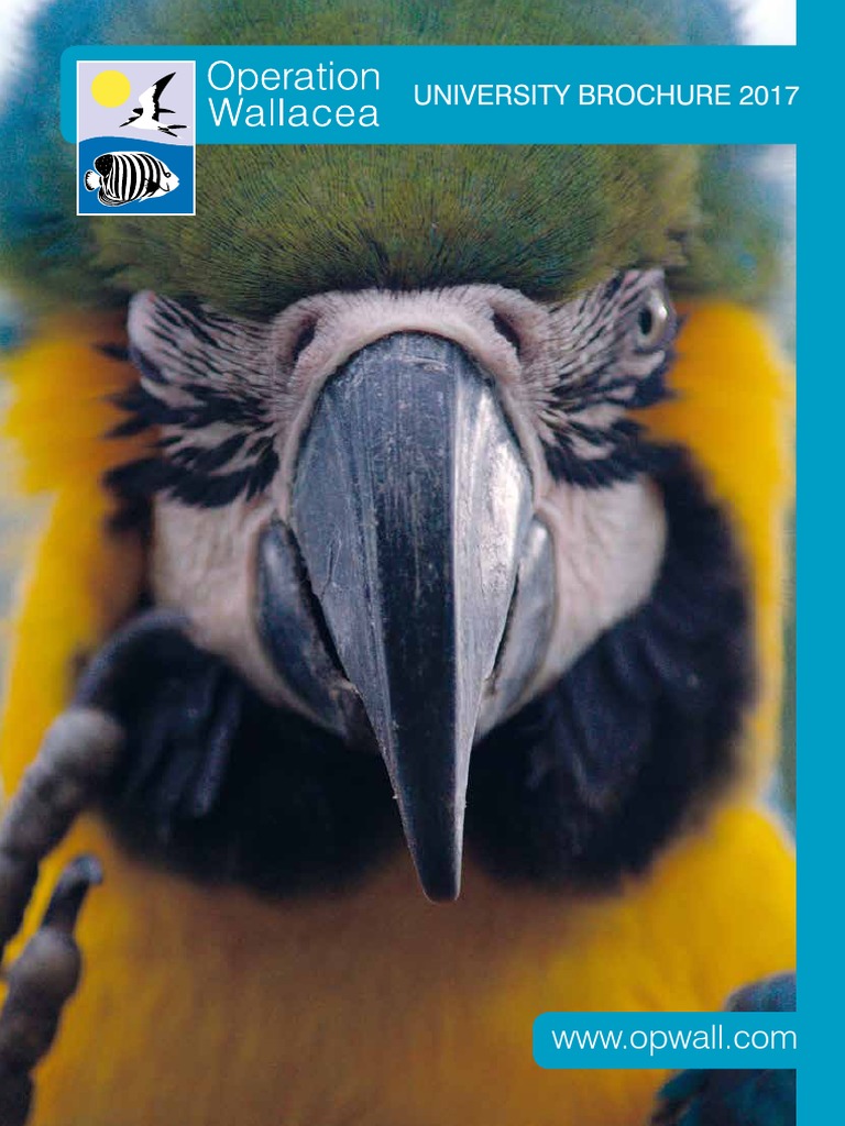 Is operation wallacea a charity picture