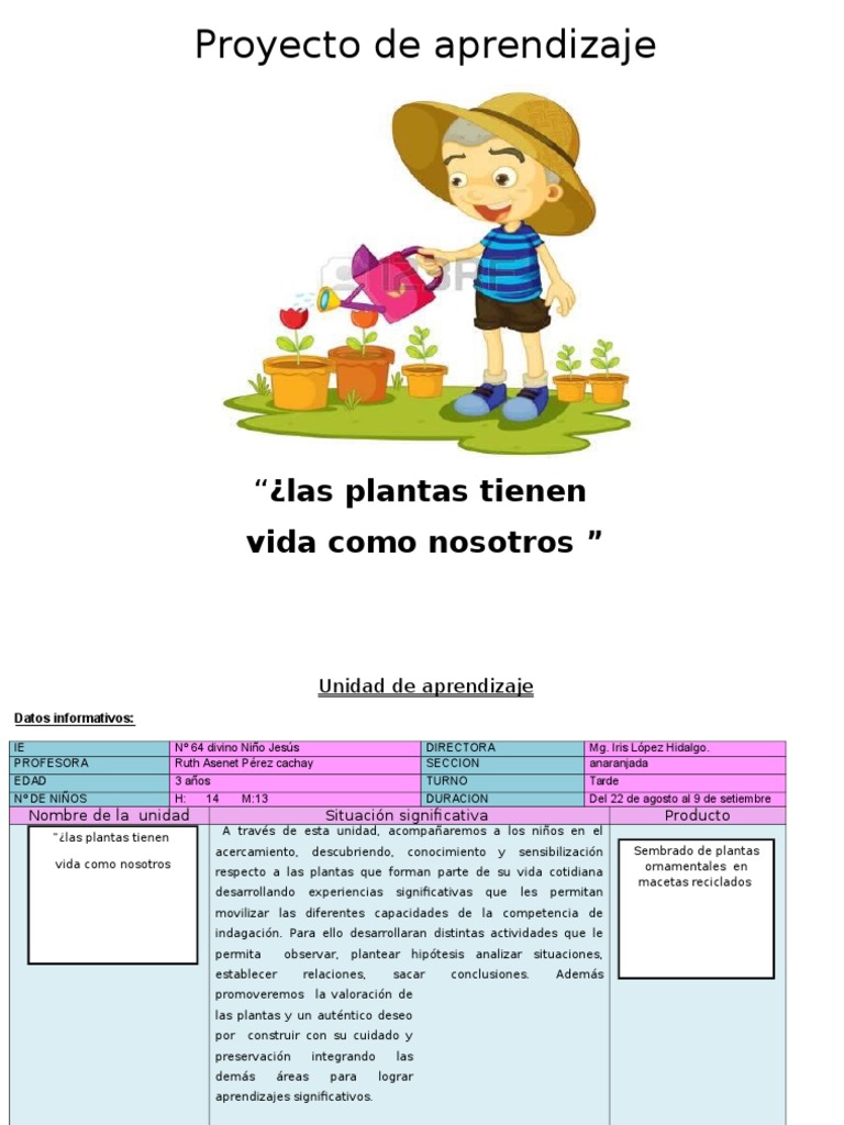 Proyecto de Aprendizaje: Las Plantas | PDF | Plantas | Hoja