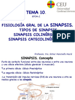 Tema 10 SINAPSIS Imp PDF