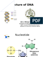 DNA Structure SB