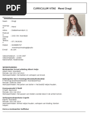 Cv Merel Dragt Nederlands