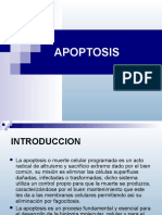 APOPTOSIS 