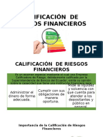 Calificación de Riesgos Financieros