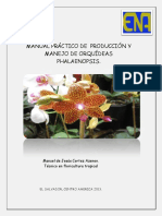 Producción y Manejo de Orquídeas Phalaenopsis