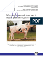 Selección de Semen de Toro para La Mejora Genética