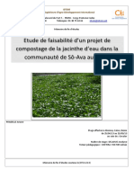 Delarue, 2013 - Etude de Faisabilité d'Un Projet de Compostage de La Jacinthe d'Eau Dans La Comunauté de Sô-Ava Au Bénin