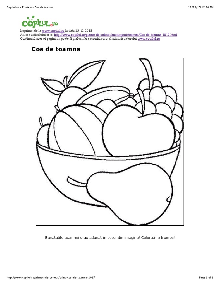 Copilul Ro Printeaza Cos De Toamna