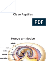 Clase Reptiles