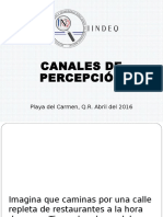 2.Canales de Percepcion