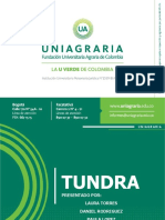 Tundra PDF