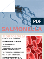 Salmonellosis 131030220023 Phpapp02