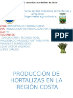 Hortalizas en Las Regiones Del Peru Año 2014