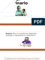 El Veterinario