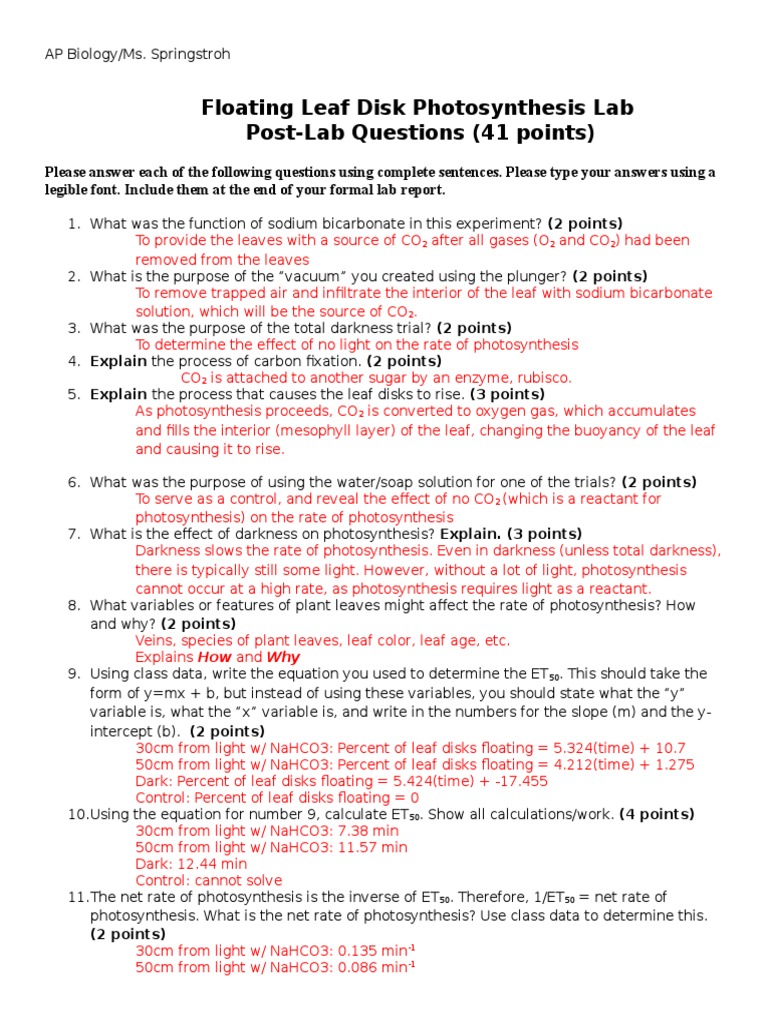 Photosynthesis Post Lab Questions Key 1 PDF Photosynthesis