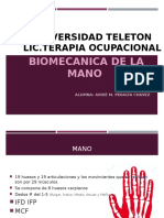 Biomecanica de La Mano