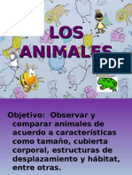 Ppt. Los Animales