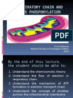 Respiratory Chain and Oxidative Phosporylation CIA