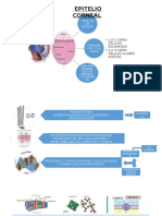 Bioquimica ocular 