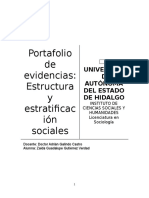 Evidencias - Estructura y estratificación sociales