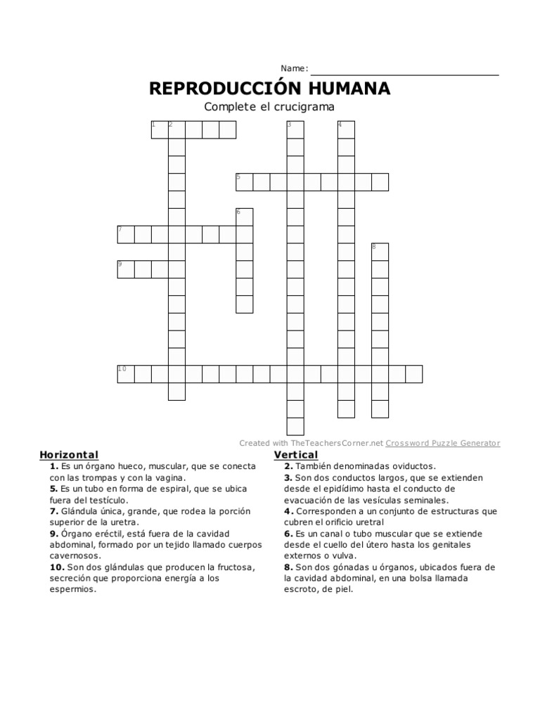 Reproducción Humana - Crucigrama