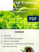 industrial _training_presentation_S_08_905.pdf