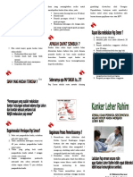 Leaflet PapSmear