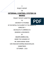 Internal Control Systems in Banks Project Report