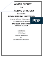 Project Report On Marketing Strategy For Bba