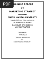 Project Report On Marketing Strategy For Bba