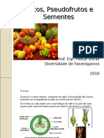 Frutos, Pseudofrutos e Sementes