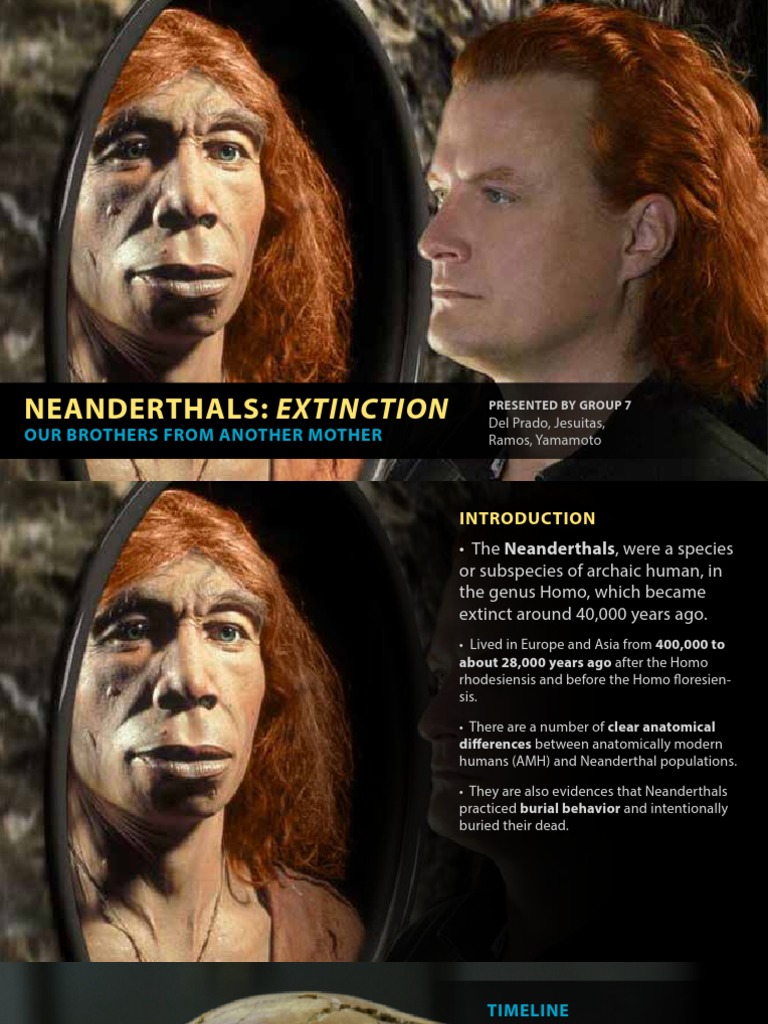 Neanderthals: Extinction Overview | PDF | Neanderthal | Homo